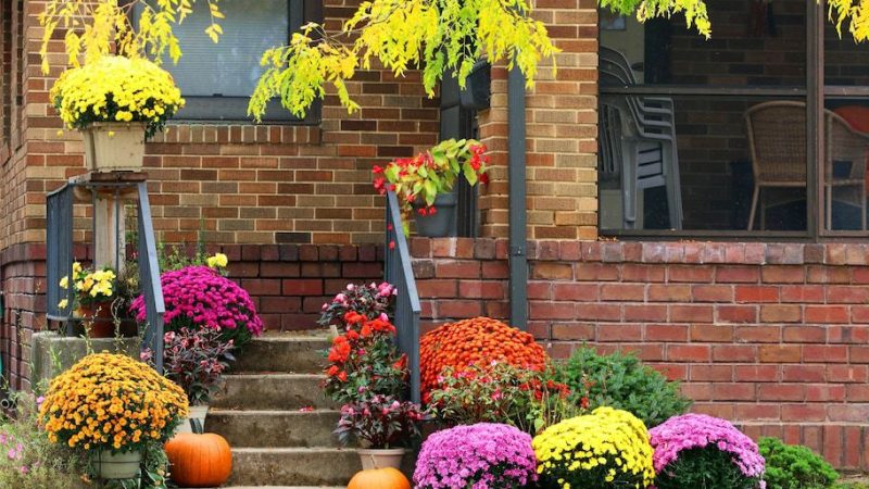 30 Awesome “Front Yard Landscaping” Ideas to Boost Your Home’s Curb Appeal