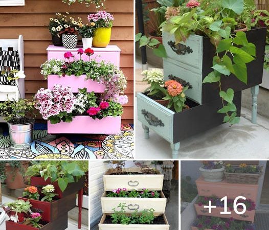 How to Make a Self-Watering Planter from a Dresser Drawer