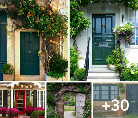 30 Breathtaking Images of Entrances Adorned with Plants