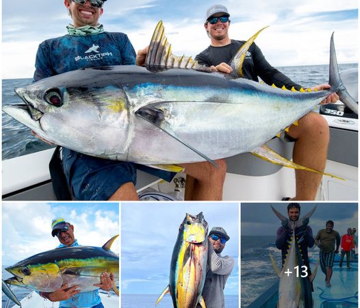 The Monstrous Yellowfin Tuna: A Legendary Encounter