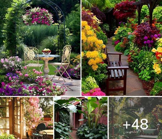 Pinterest’s 48 Most Beautiful Dreamiest Gardens