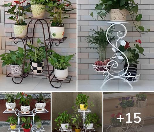 15 Stylish Ideas To Make Your Pots Look Beautiful You’ll Love It!