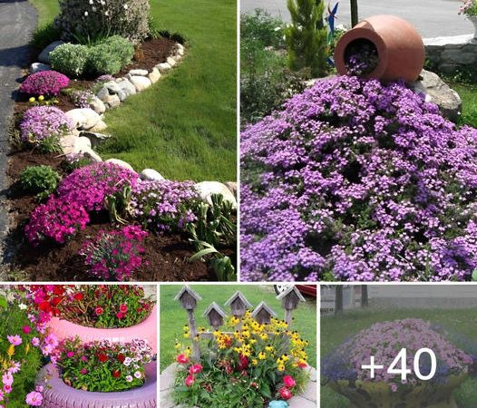 We create beautiful flower beds in the yard and garden: 40 simple ideas ‎