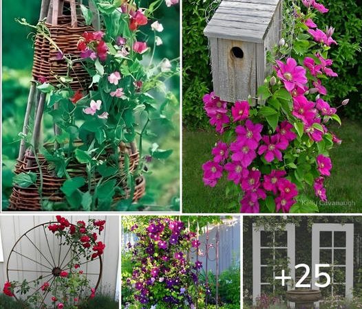 25+ Eye-Catching DIY Trellis Ideas For Your Garden