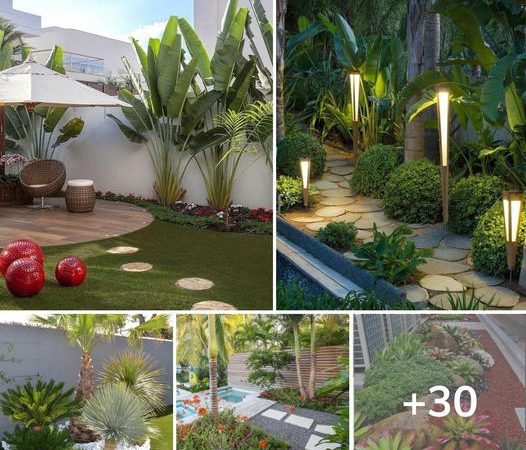 30 Tropical Backyard Ideas That Will Inspire You